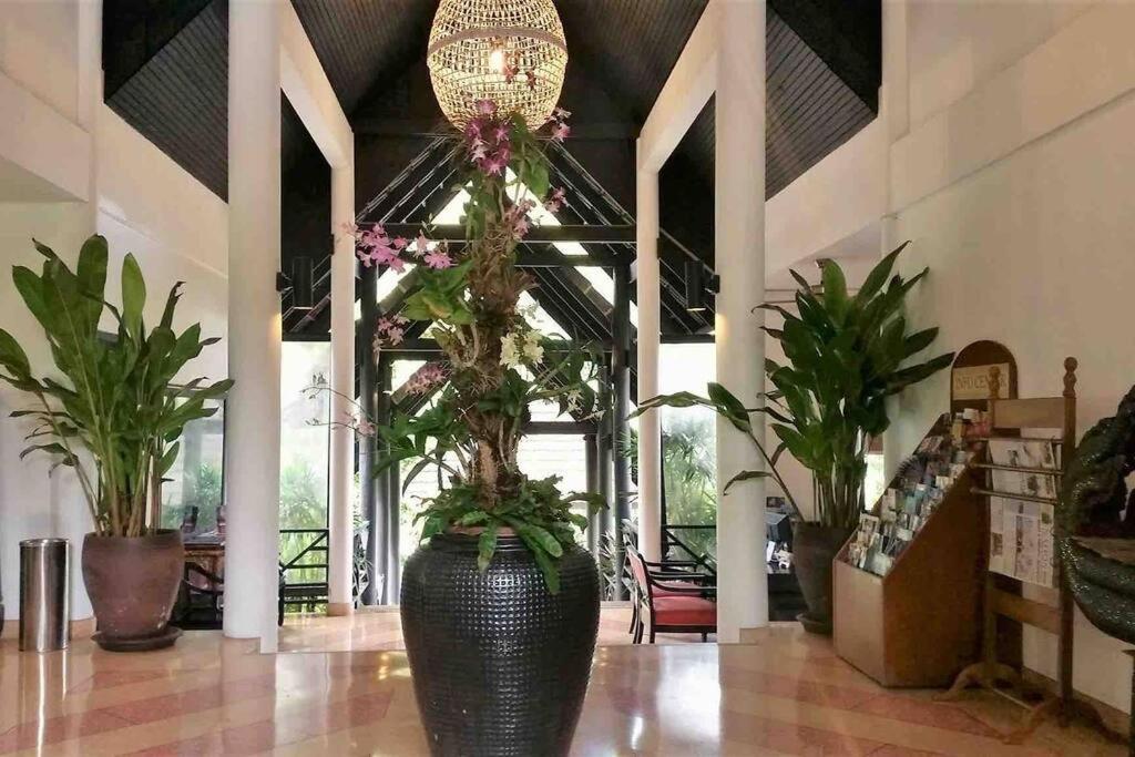 Tropical Escape: Παραλία Καμάλα Εξωτερικό φωτογραφία